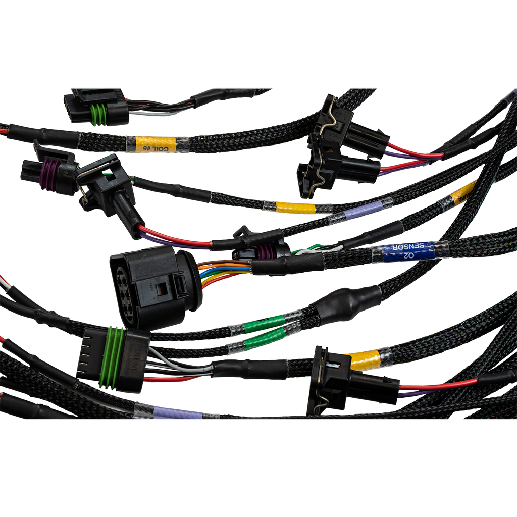FT450/FT550 6 Cylinder Universal A Harness